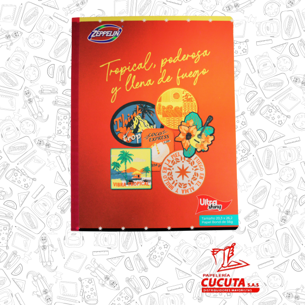 CUADERNO COSIDO 100HJ  GDE -2 ULTRA SHINY 20.3X26.2 PCX30 ZPP