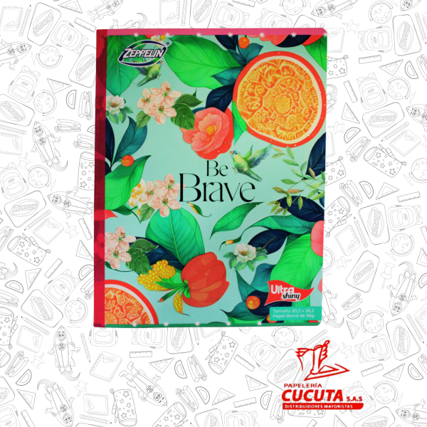 CUADERNO COSIDO 100HJ  GDE -2 ULTRA SHINY 20.3X26.2 PCX30 ZPP