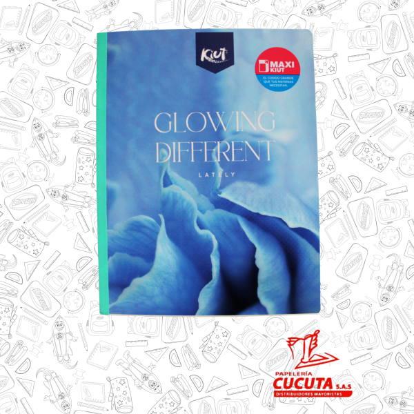 CUADERNO COSIDO GRANDE G/M 100HJ-1 MAXI NORMA