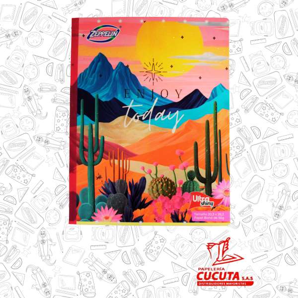 CUADERNO COSIDO 100HJ  GDE -2 ULTRA SHINY 20.3X26.2 PCX30 ZPP