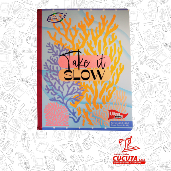 CUADERNO COSIDO 100HJ  GDE -2 ULTRA SHINY 20.3X26.2 PCX30 ZPP