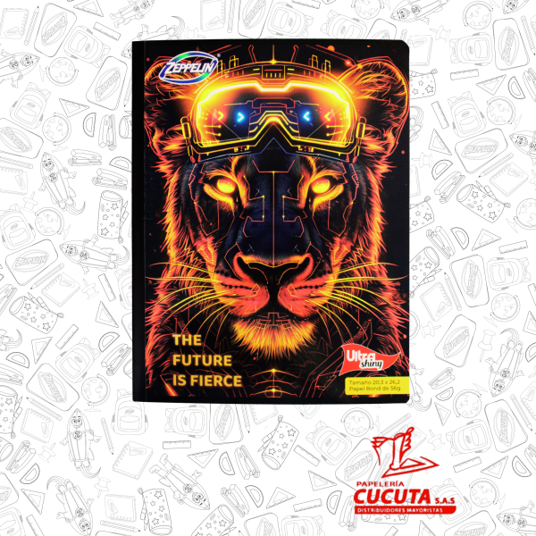 CUADERNO COSIDO 100HJ  GDE -2 ULTRA SHINY 20.3X26.2 PCX30 ZPP