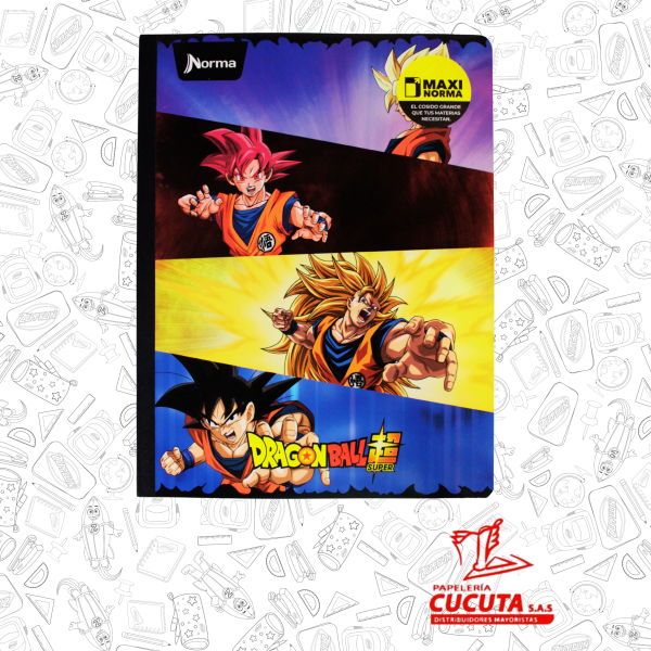 CUADERNO COSIDO GRANDE G/M 100HJ-1 MAXI NORMA