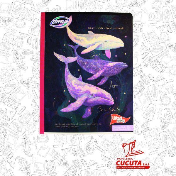 CUADERNO COSIDO 100HJ  GDE -2 ULTRA SHINY 20.3X26.2 PCX30 ZPP