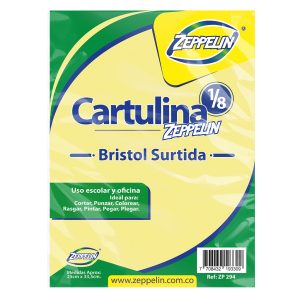 CARTULINA BRISTOL COLOR 1/8 ZP-164